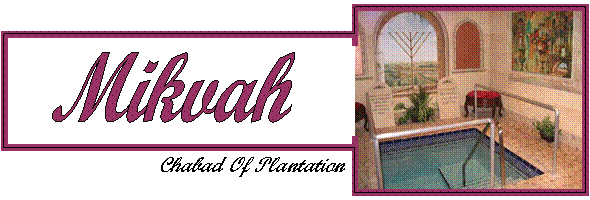 Mikvah Top.gif