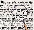 Mezuzah and Teffilin Checking