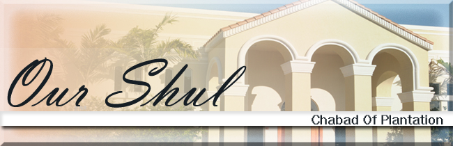 Our Shul Header copy.jpg